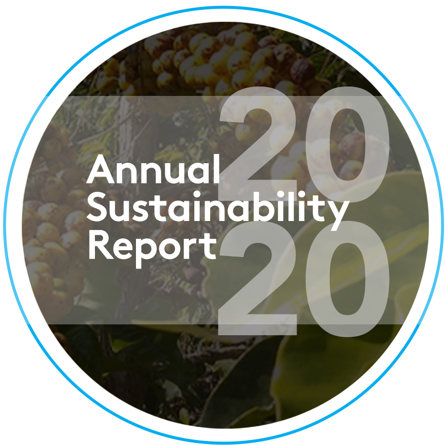 2020 GMT Sustainability Report