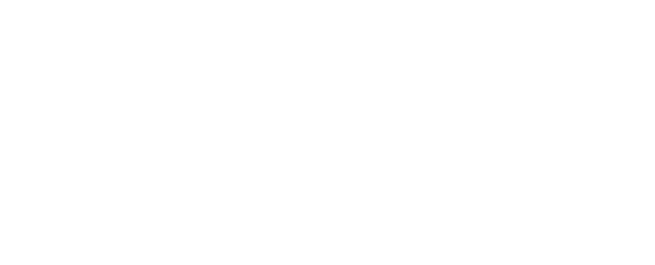 montesanto tavares group