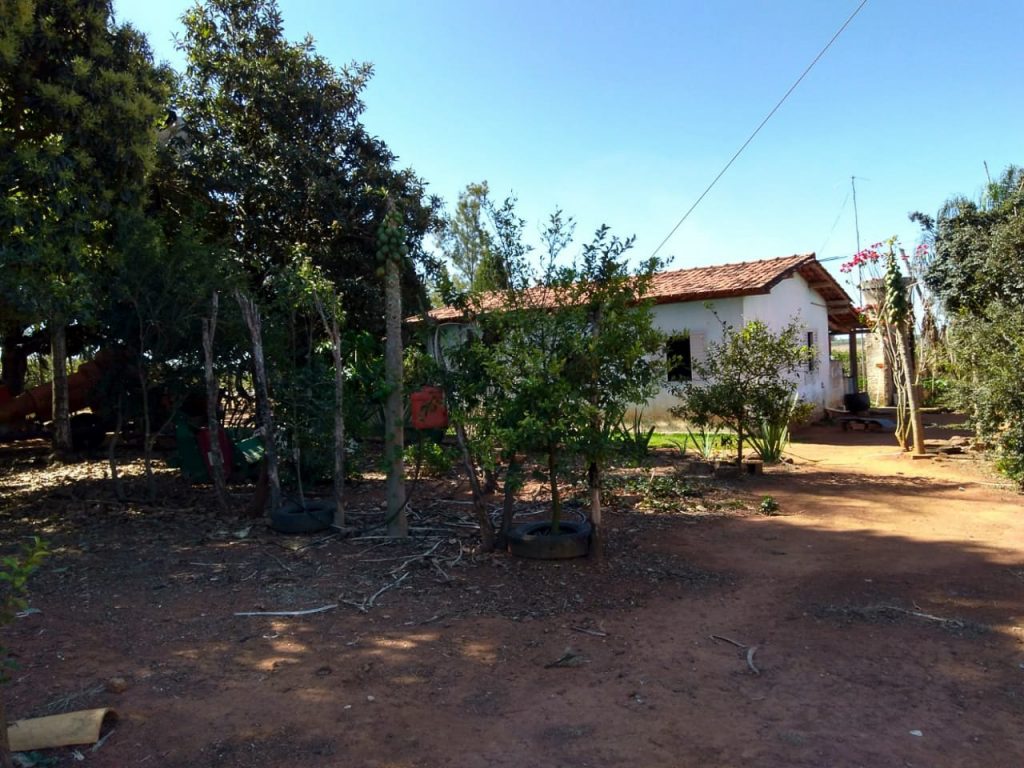Fazenda Macaúbas de Baixo - Ally Coffee