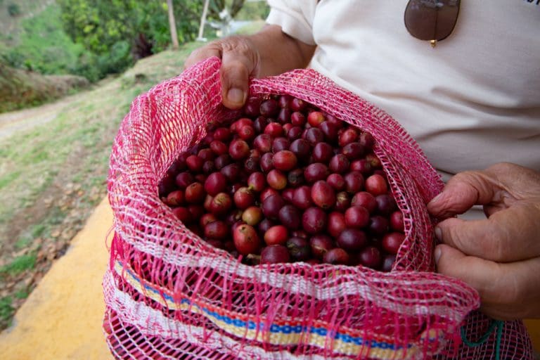 La Cristalina Bourbon Natural