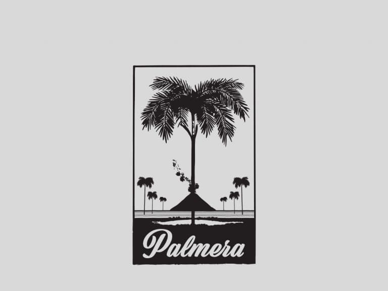 Palmera