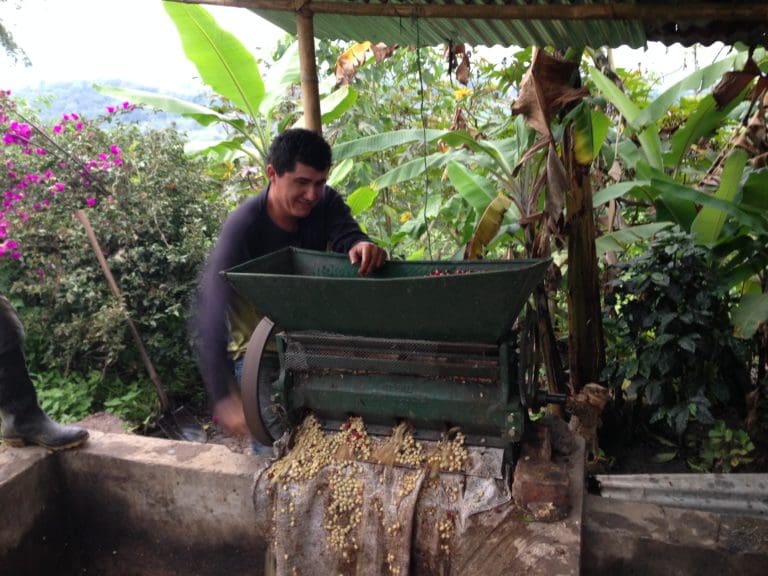 La Primavera Community Organic