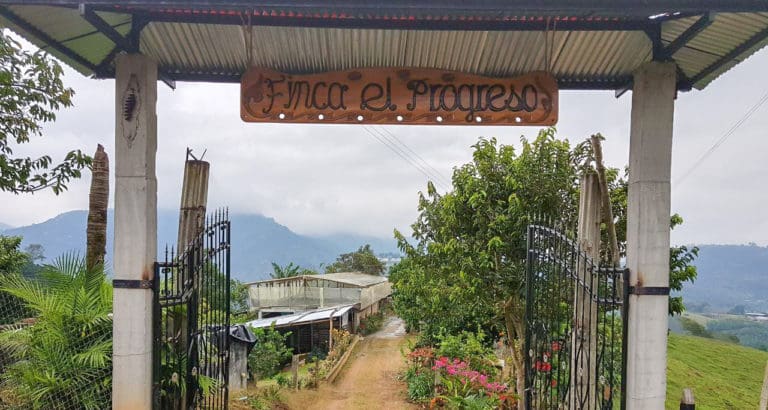 El Progreso Caturra Double Fermentation