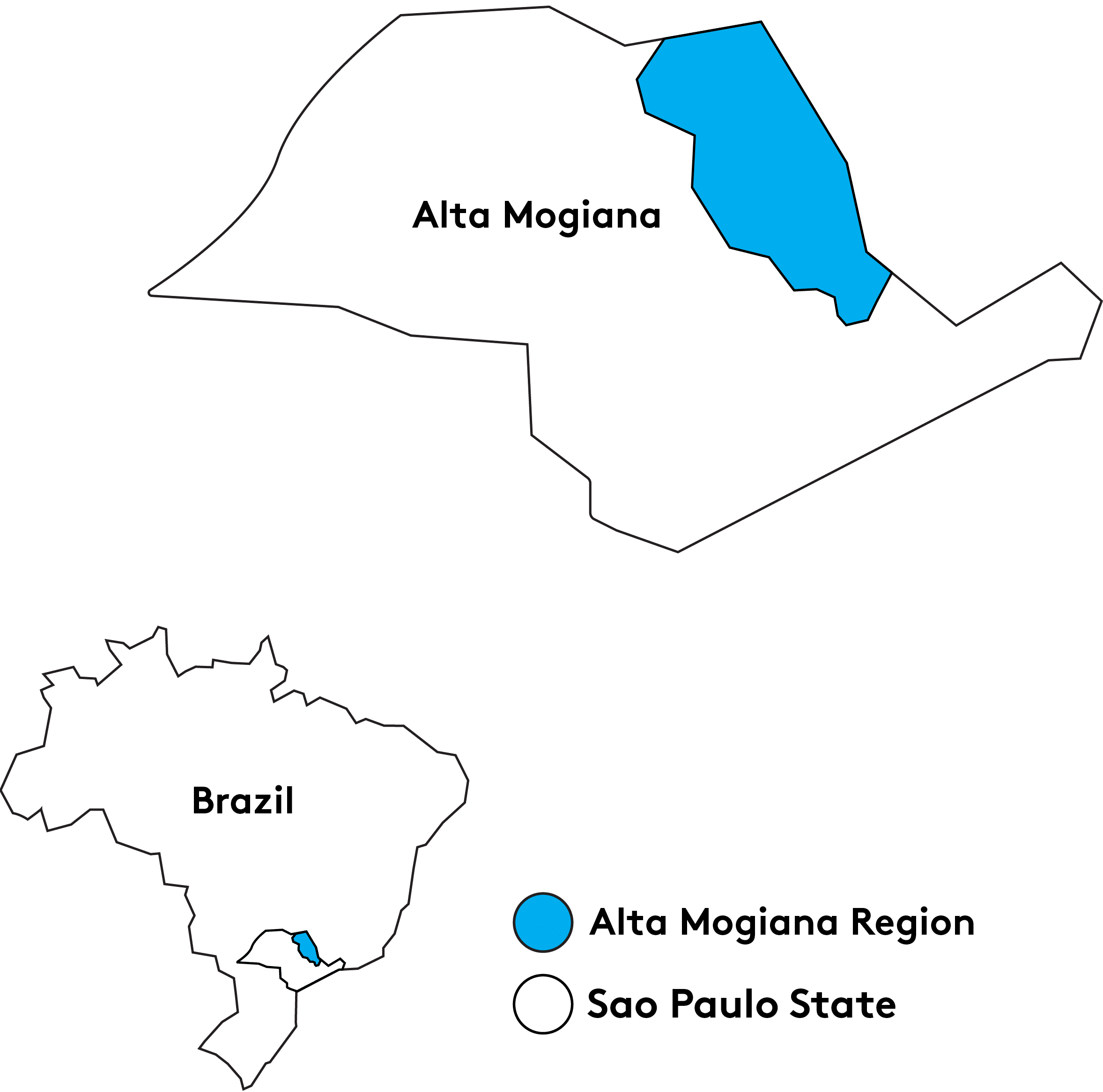 REGIOES VS2 Matas de Rondônia — Casa Brasil Coffees